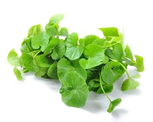 Gotu Kola (Asian Centella) face parte din Prostamin Forte