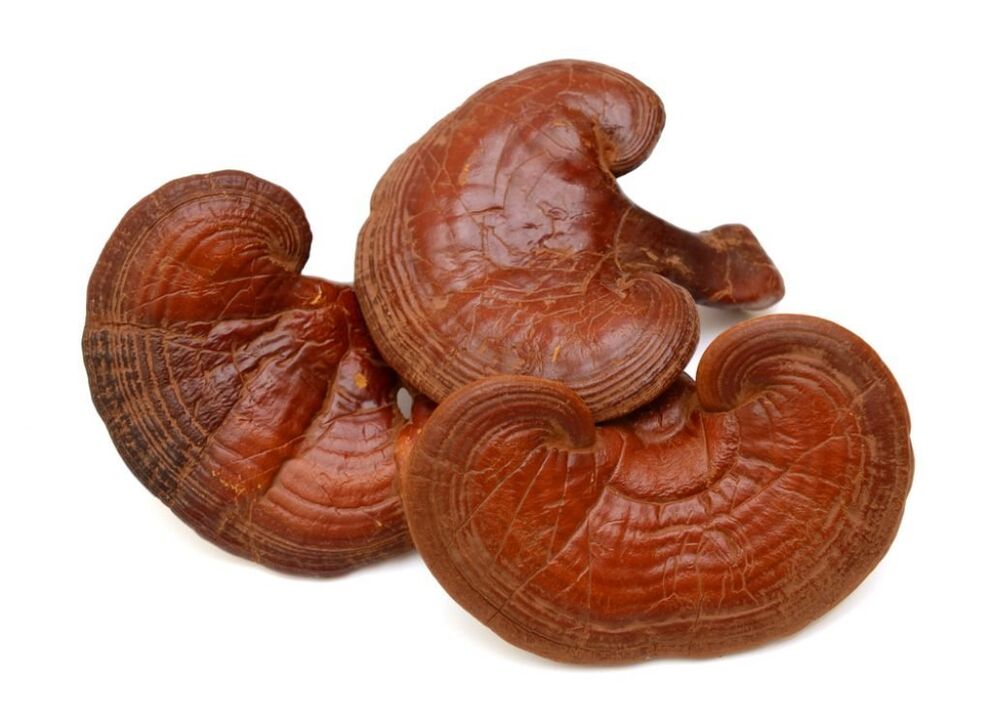 Prostamin Forte conține ciuperci Reishi